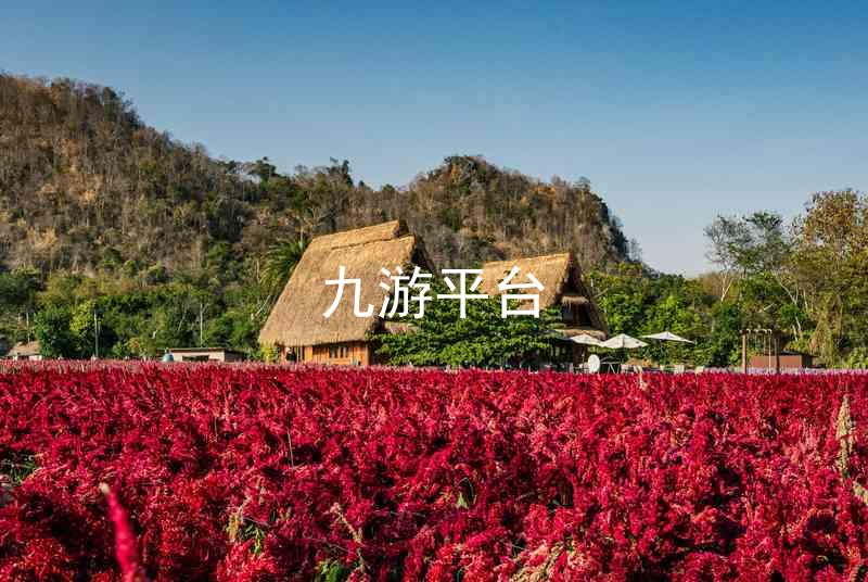 九游平台